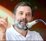 Germany Reacts To Rahul Gandhis Disqualification