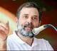 Germany Reacts To Rahul Gandhis Disqualification