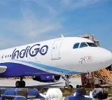 Drunk Swedish flyer molests IndiGo air hostess assaults copassenger