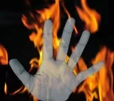 Andhra techie burnt alive in car