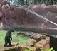 Hyderabad zoo installs coolers, sprinklers to protect animals from heat