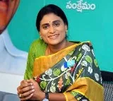 YS Sharmila proposes joint political platform to fight for youth, unemployed