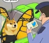 Elon Musk changes Twitter logo to Dogecoin cryptocurrency image