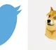 Little birdie is back Elon Musk replaces Dogecoin logo with official Twitter logo