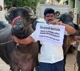 Dont touch Vande Bharat express says Sathish Reddy