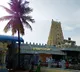 Deer skin Seized from Kanipakam Temple Priest