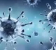 14 dead in India due to Corona in last 24 hours