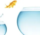 Switching health insurance policy porting you health plan easily