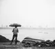 IMD predicts normal rainfall this year in Southwest monsoon season