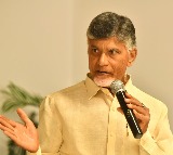 chandra babu fires on ys jagan