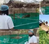up sarus crane in kanpur zoo reaction after seeing arif melts hearts