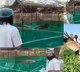 up sarus crane in kanpur zoo reaction after seeing arif melts hearts