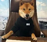 Elon Musks dog Floki takes over as Twitter CEO