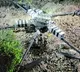 Pakistani Drone Shot Down Near LoC In Rajouri