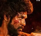 Rudrudu Review