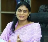 YS Sharmila satires on MLC Kavita