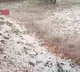 Hail storms forecasts for parts of Telangana