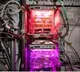 Tomatoes grown in space flying to Earth on Dragon spacecraft today