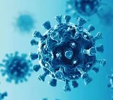 Another Covid like global pandemic possible in 10 years