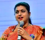 Roja challenge to Chandrababu
