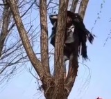 Peacock teaches a lesson to women after they try to steal its eggs 