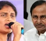 Telangana HC's conditional nod to YSRTP for hunger strike