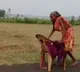 Nirmala Sitharaman reacts as Odisha woman walks miles barefoot to collect pension