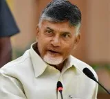 TDP complaints Union Home Ministry over stone attack on chandrababu naidu