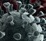 Maharashtra sees drop in Covid cases with 850 new infections