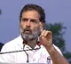 Gujarat HC judge recuses from hearing Rahul Gandhi's plea