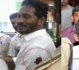 kodikatthi case hearing adjourned to may 10