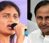 YS Sharmila asks KCR to name corrupt MLAs