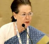 BJP MLA calls Sonia Gandhi venomous maiden