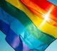Same sex Marriage blot On Humankind Says Puri Peeth Shankaracharya