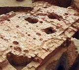 Ancient DNA study confirms West Eurasian genetic imprints in Pattanam
