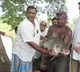 Gollagudem Sarpanch distributes fish at free of cost for his villagers