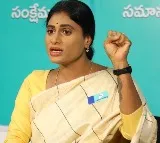 Sharmila sends truck load of damaged crop to KCR