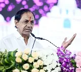 Telangana to introduce insurance scheme for toddy tappers
