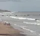 Cyclone Mocha likely to hit Indias eastern coast next week