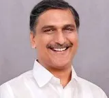 Governor stalling Telangana's development, alleges minister