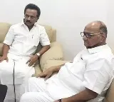 Tamil Nadu CM requests Sharad Pawar to reconsider his decision to quit NCP chief post
