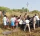 India-origin Singaporean couple die in Andhra vehicle crash