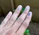 Voting for Karnataka Assembly election begins