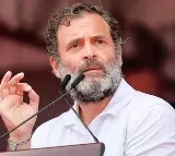 Delhi University to send notices to Congress leader Rahul Gandhi