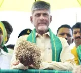 Chandrababu fires on CM Jagan