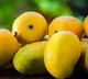 How to identify mangoes ripened with chemicals in the market know through these tips