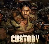 Poor opening for custody movie