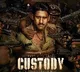 Poor opening for custody movie
