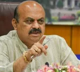 Snake causes chaos at BJP Shiggaon camp office in Karnataka rescued