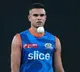 Arjun Tendulkar bitten by stray dog
